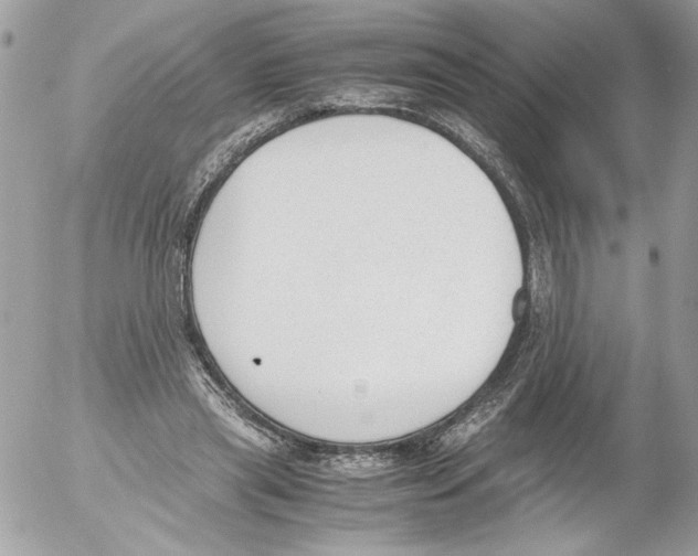 X0000052610445200507292153