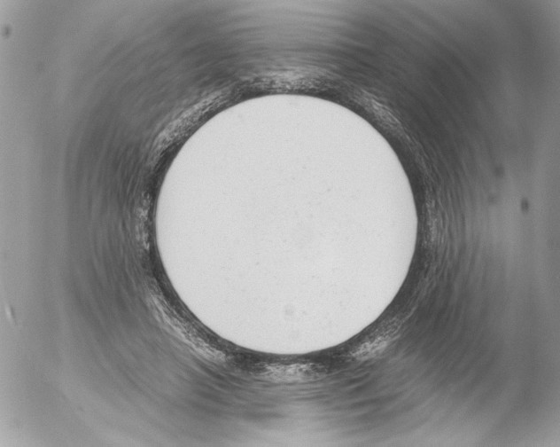 X0000052610450200507292153