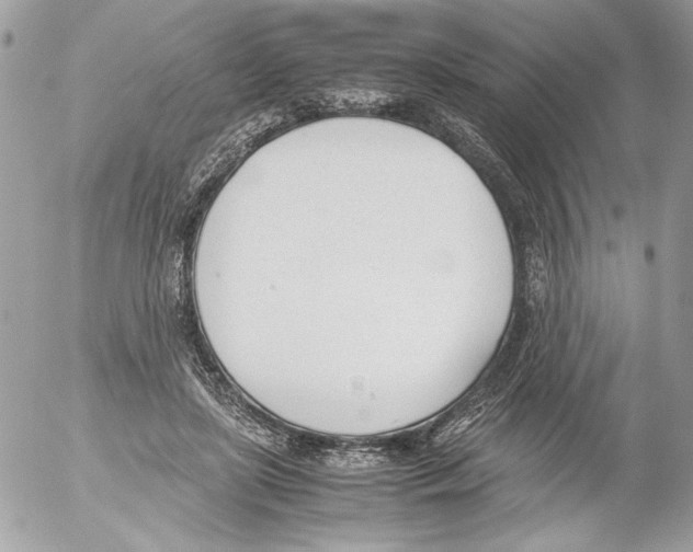 X0000052610451200507292153