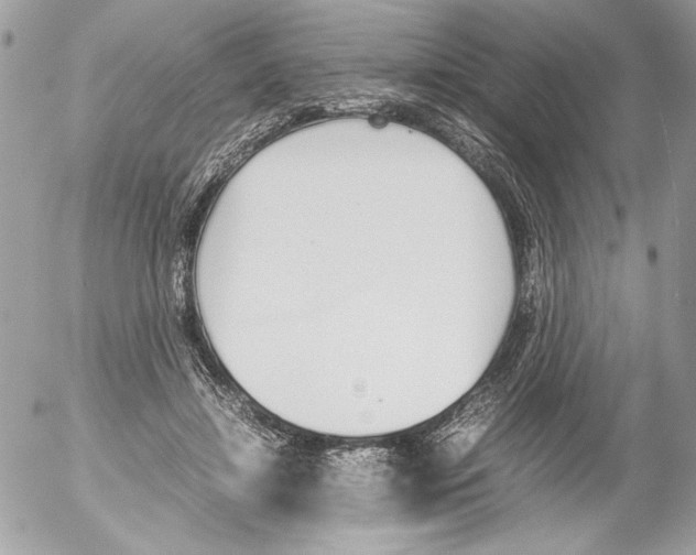 X0000052610452200507292153