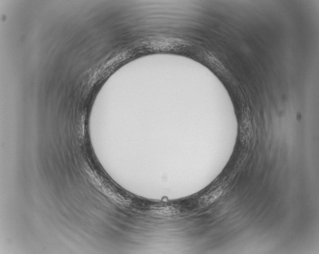 X0000052610454200507292153