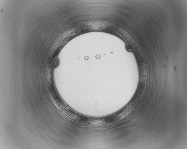 X0000052610456200507292153