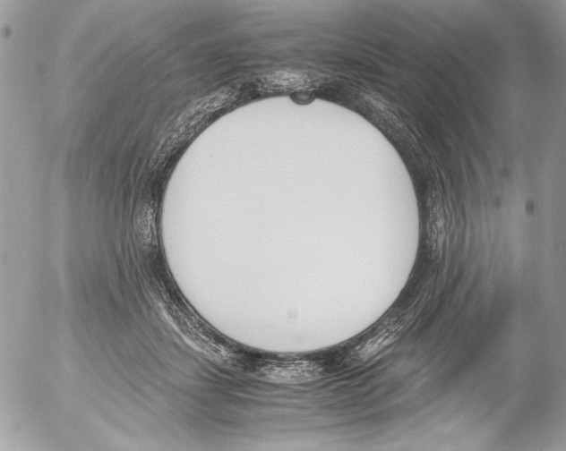 X0000052610459200507292153