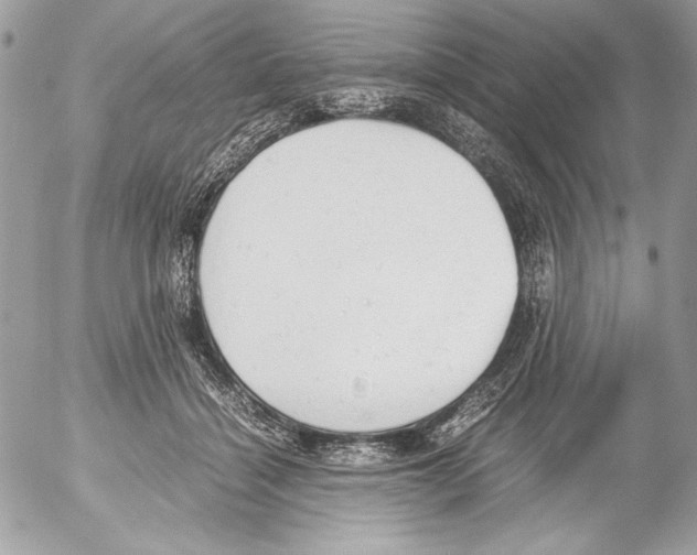 X0000052610460200507292153