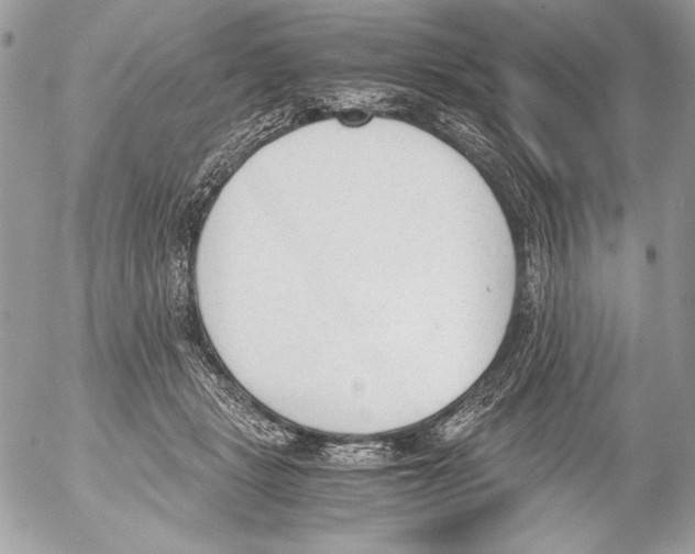 X0000052610461200507292153