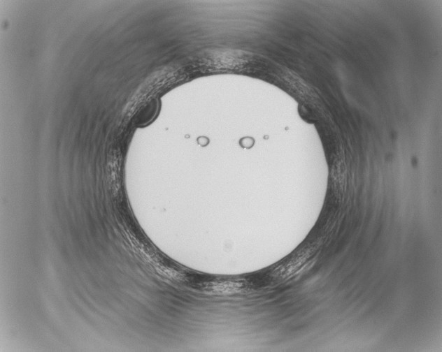 X0000052610462200507292153