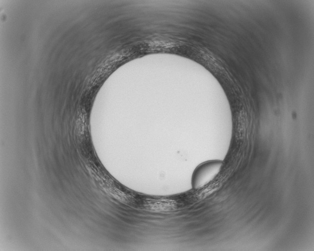 X0000052610463200507292153