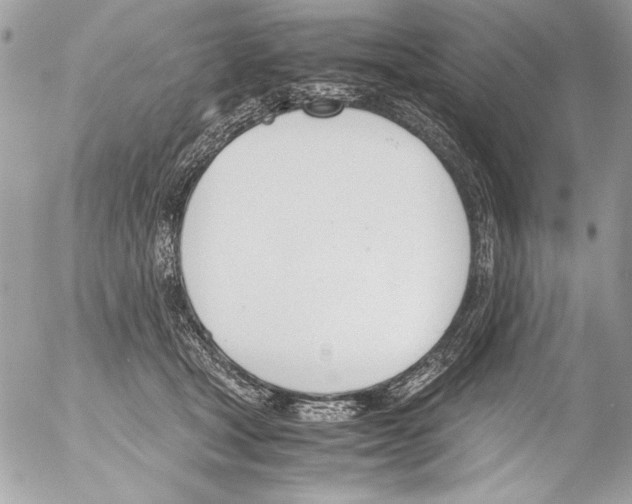 X0000052610465200507292153