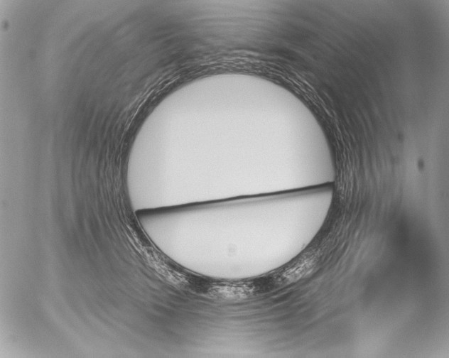 X0000052610466200507292153