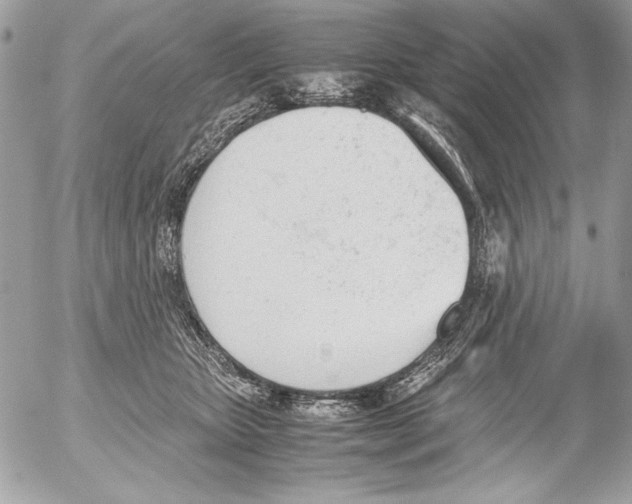 X0000052610467200507292153