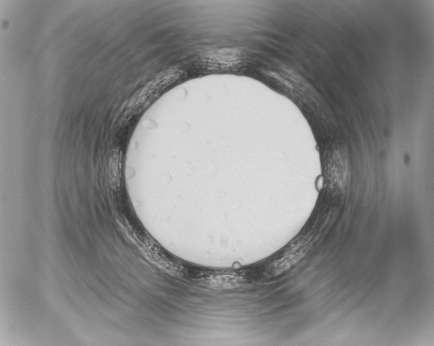 X0000052610468200507292153