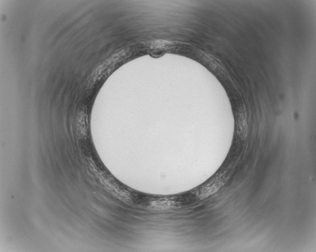 X0000052610470200507292153