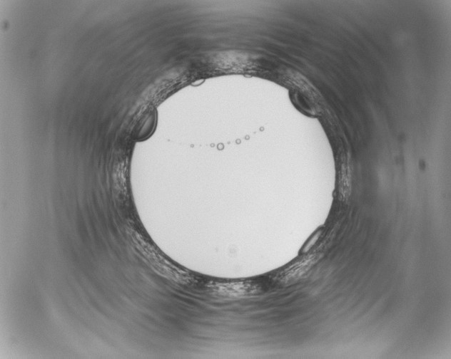 X0000052610473200507292153