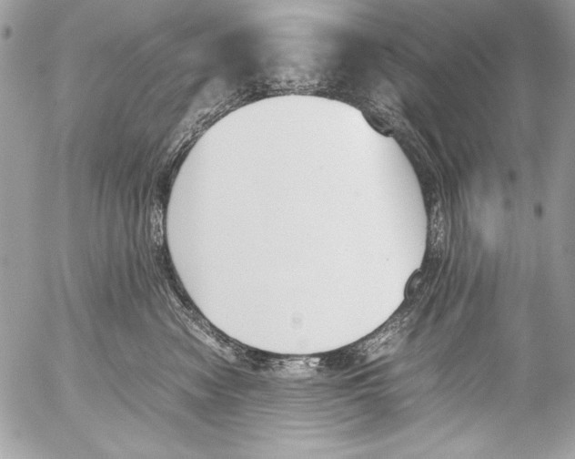 X0000052610474200507292153