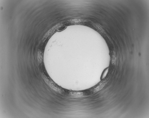 X0000052610476200507292153