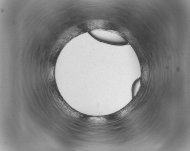 X0000052610477200507292153