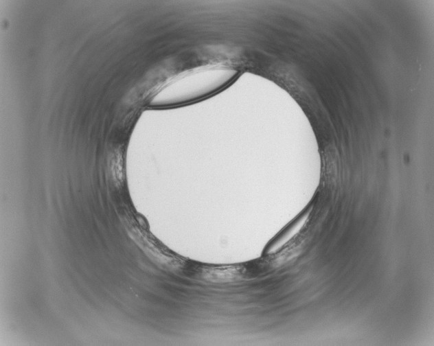 X0000052610479200507292153