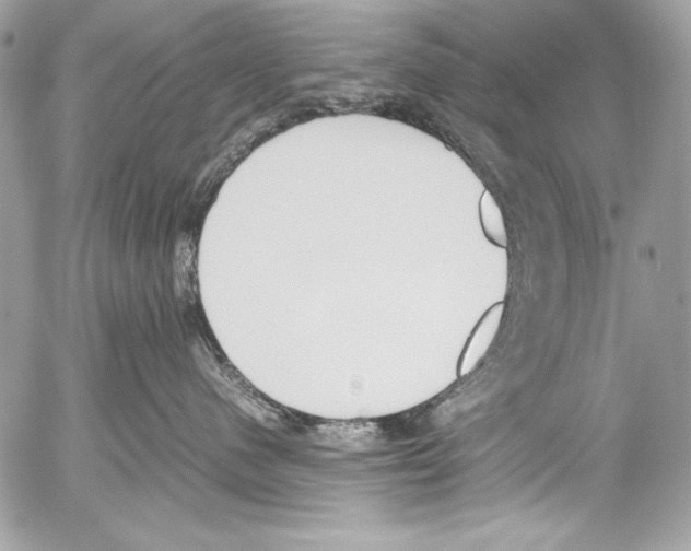 X0000052610480200507292153