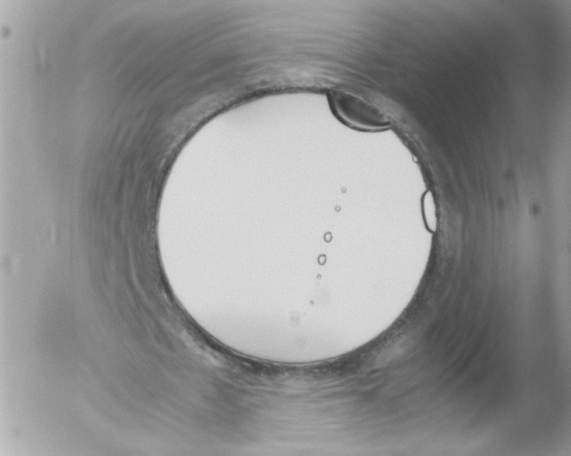 X0000052610481200507292152