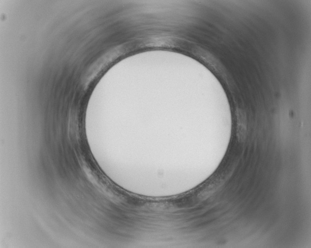 X0000052610482200507292152