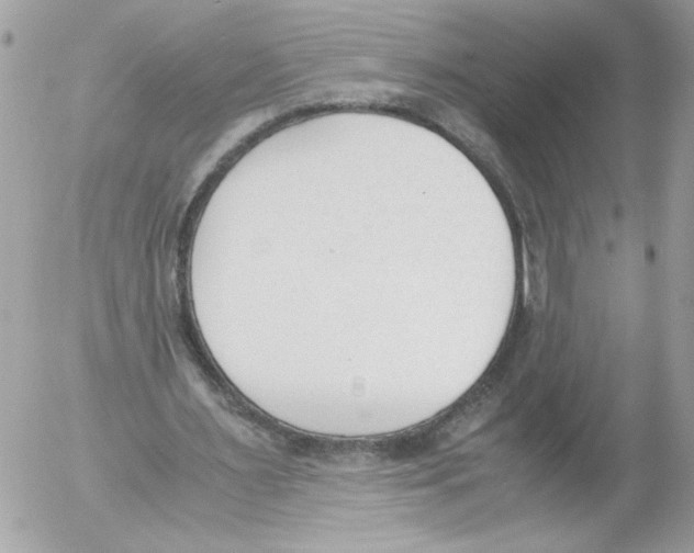 X0000052610483200507292152