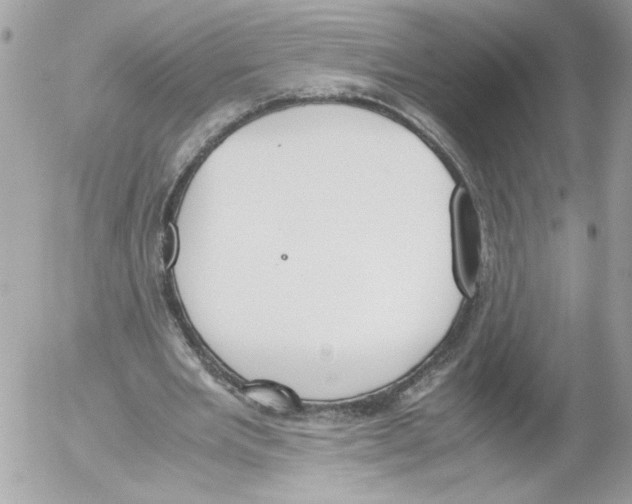 X0000052610485200507292152