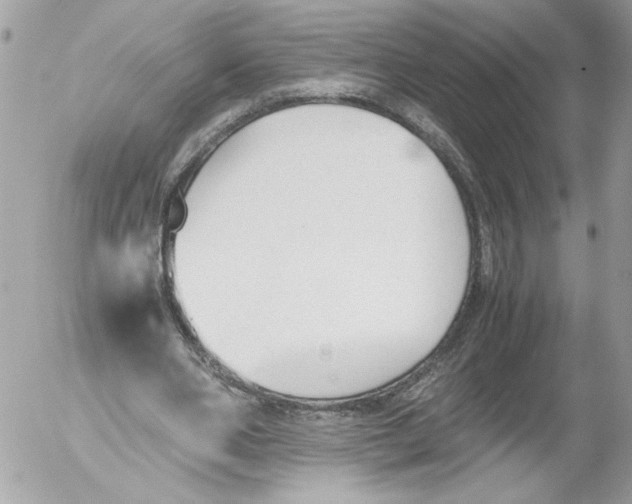 X0000052610486200507292152