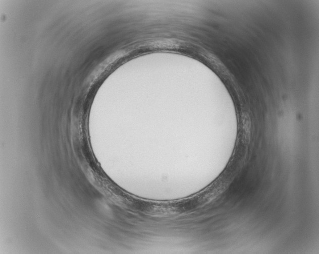 X0000052610487200507292152