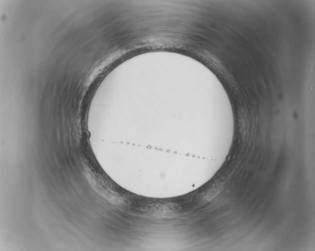 X0000052610488200507292152