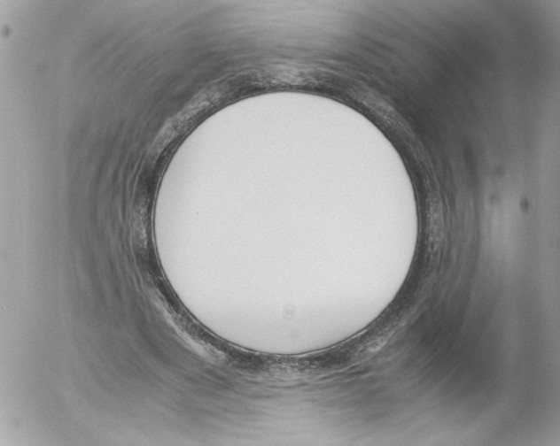 X0000052610489200507292152