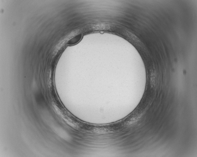 X0000052610490200507292152