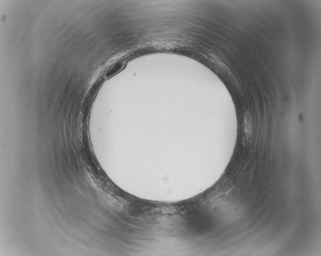 X0000052610492200507292152