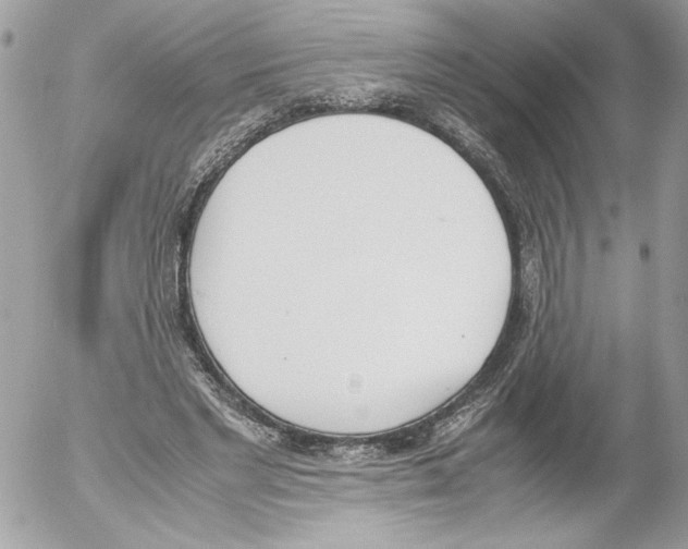 X0000052610493200507292152