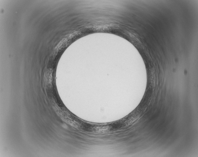 X0000052610495200507292152