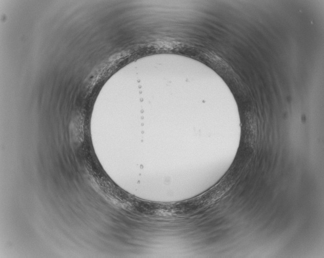 X0000052610496200507292152