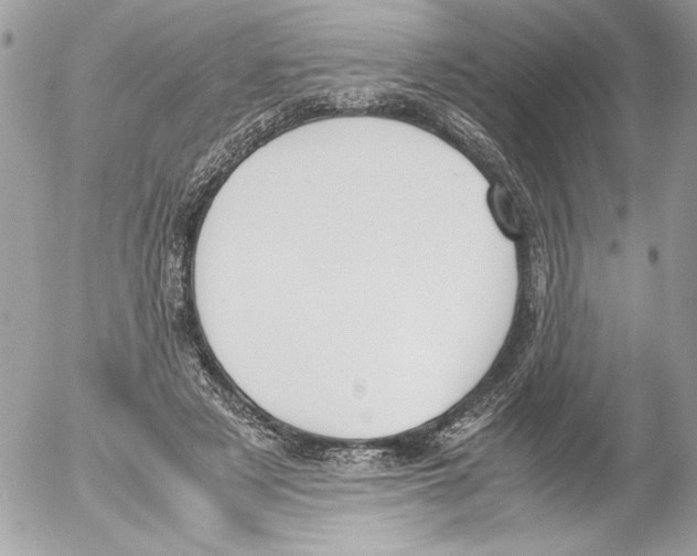 X0000052610497200507292152