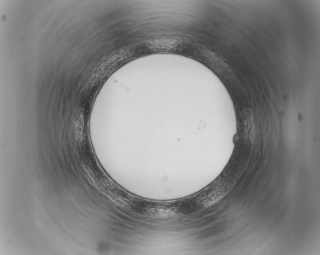 X0000052610498200507292152