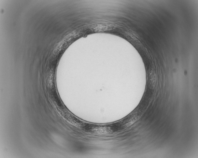 X0000052610499200507292152