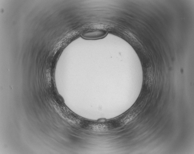 X0000052610500200507292152