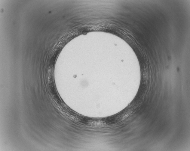 X0000052610503200507292152