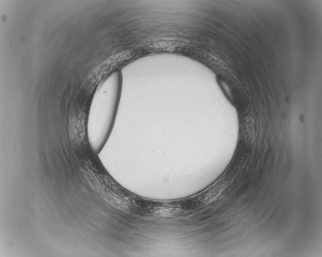 X0000052610504200507292152