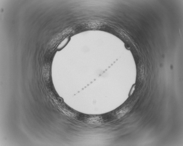 X0000052610505200507292152