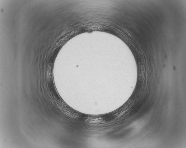 X0000052610507200507292152