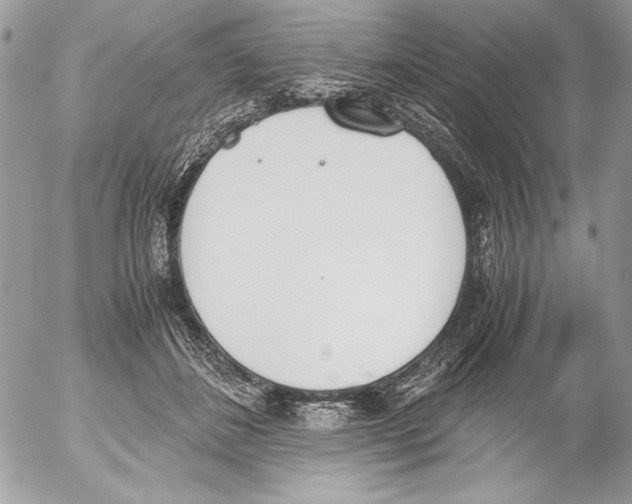 X0000052610508200507292152