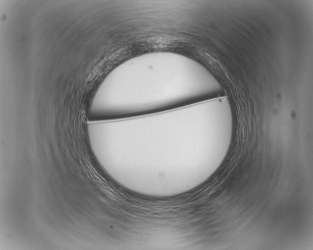 X0000052610509200507292152