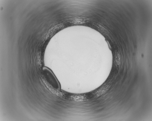 X0000052610512200507292152