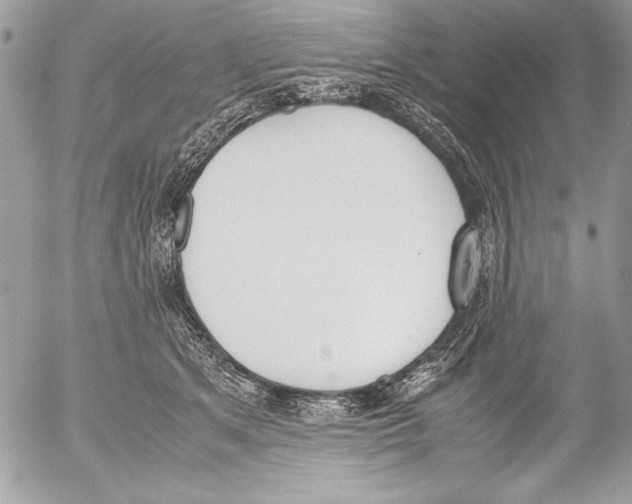 X0000052610513200507292152