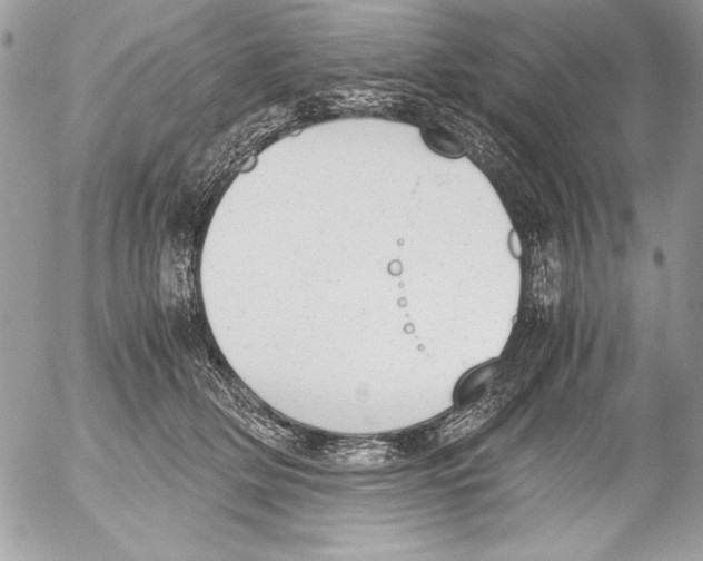 X0000052610514200507292152