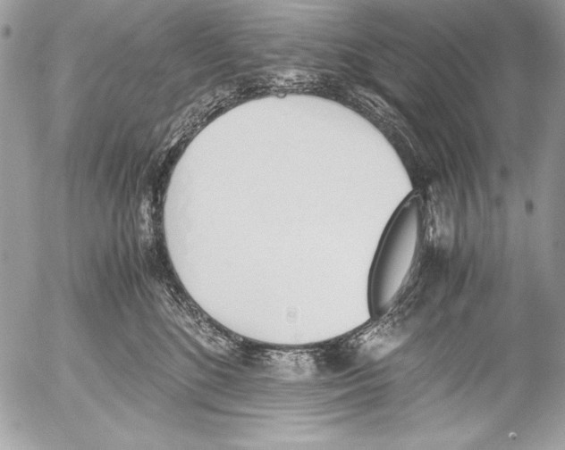 X0000052610520200507292152