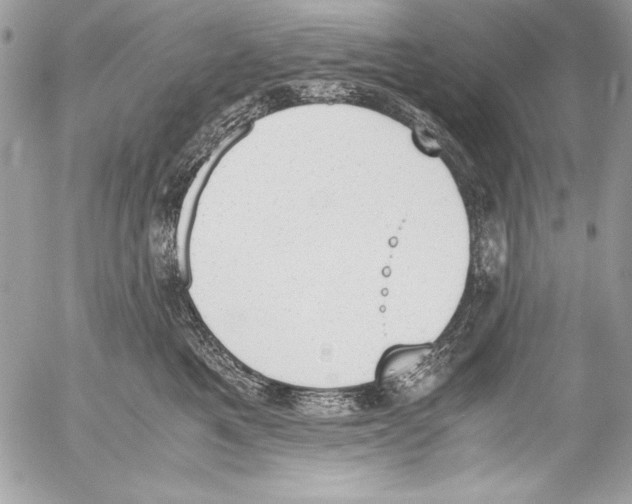 X0000052610521200507292152